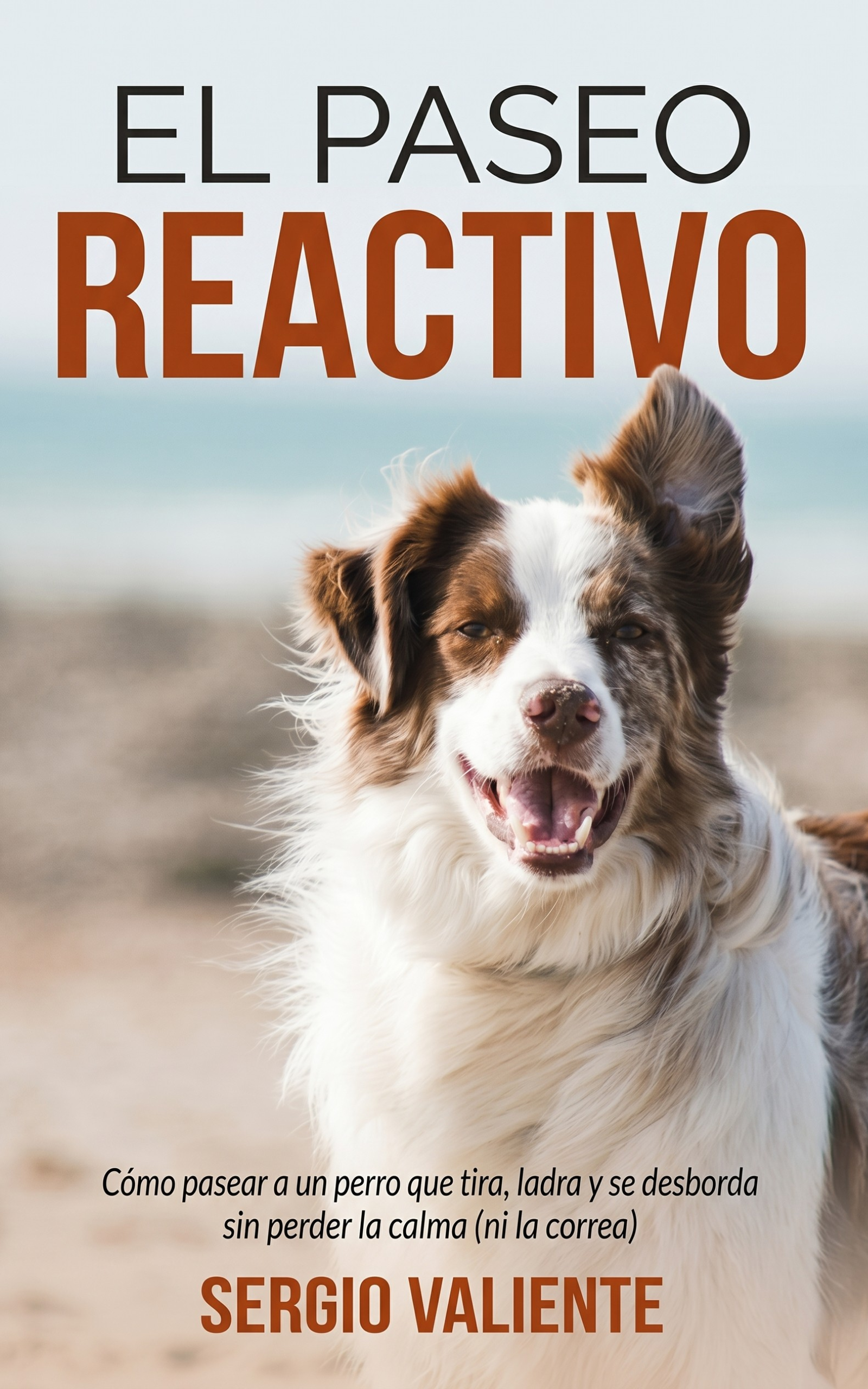Portada de El Paseo Reactivo